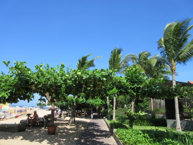 サヌールビーチ サヌールビーチ