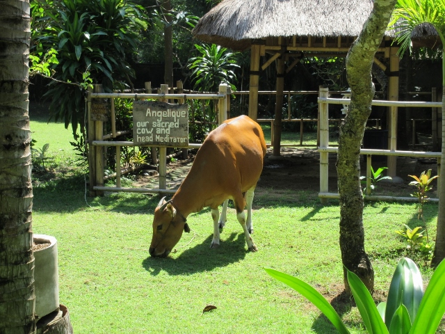 サヌールビーチ サヌールビーチ