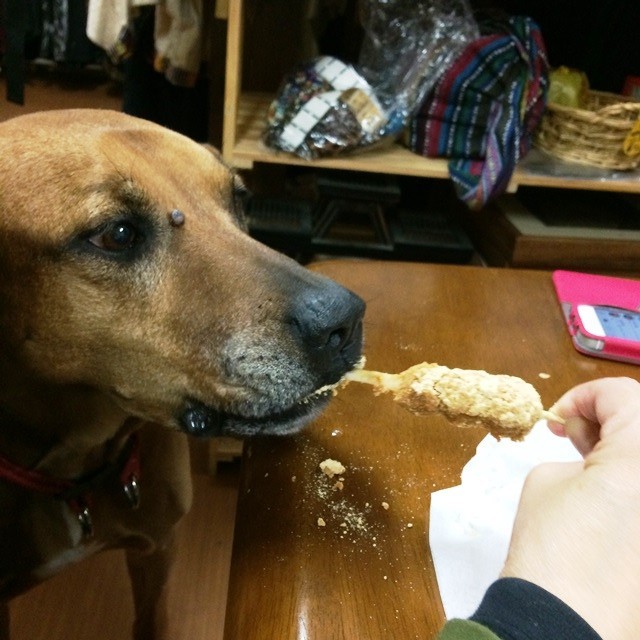 口福堂　きなこ団子