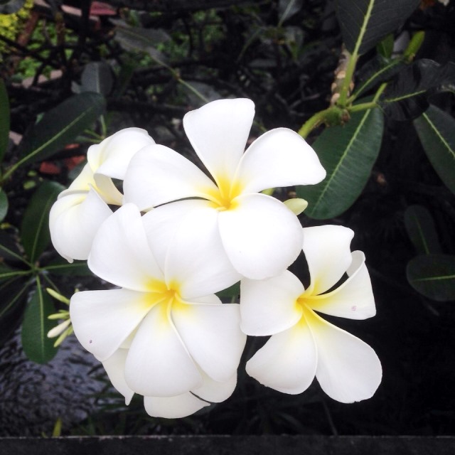 バンコク バンコク