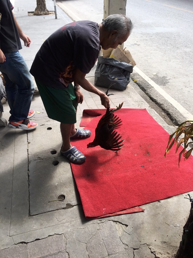 チェンマイ チェンマイ