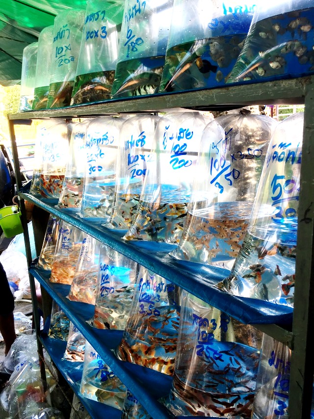 チャトゥチャック・ウィークエンド・マーケット チャトゥチャック・ウィークエンド・マーケット