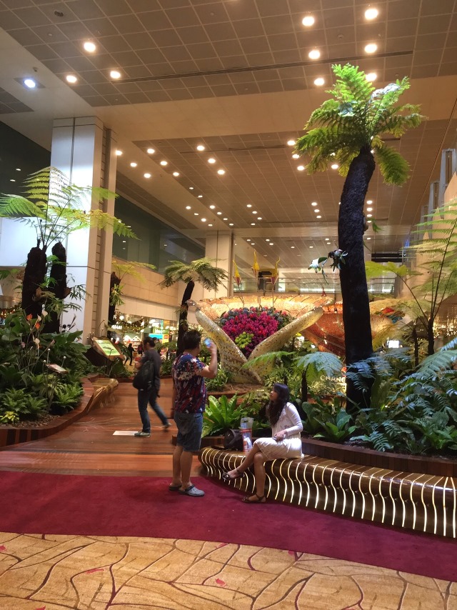 シンガポール チャンギ空港 シンガポール チャンギ空港