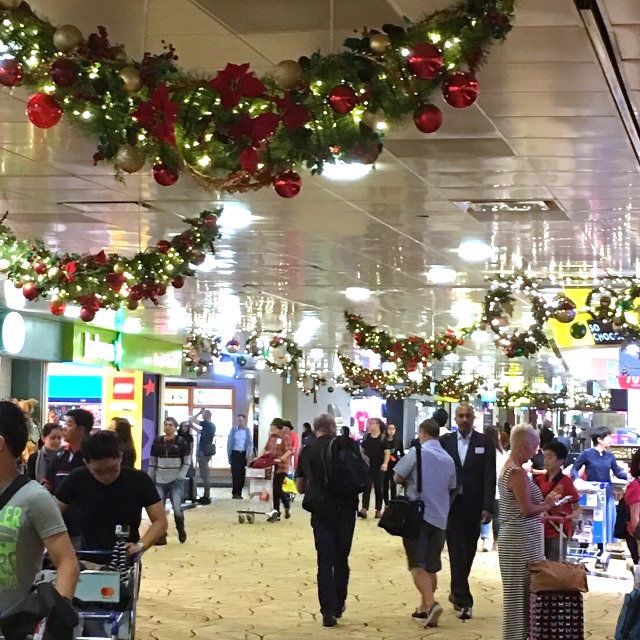 シンガポール チャンギ空港 シンガポール チャンギ空港