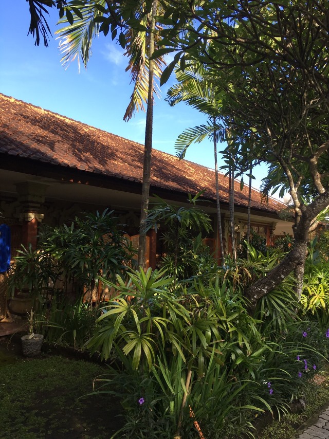 CAFE LOCCA/サヌール CAFE LOCCA/サヌール