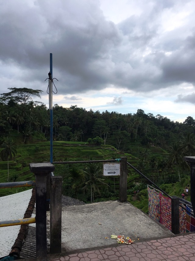 ライステラス/バリ島 ライステラス/バリ島