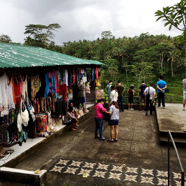 ライステラス/バリ島 ライステラス/バリ島