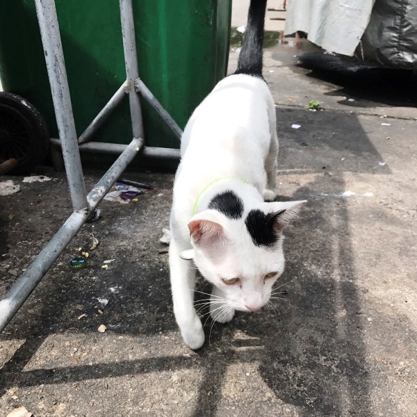 バンコク バンコク