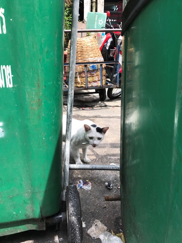 チャトチャックウィークエンドマーケット チャトチャックウィークエンドマーケット