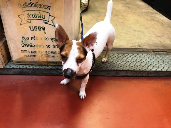 チャトチャックウィークエンドマーケット チャトチャックウィークエンドマーケット