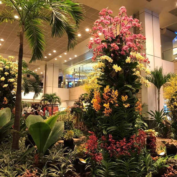 シンガポール　チャンギ国際空