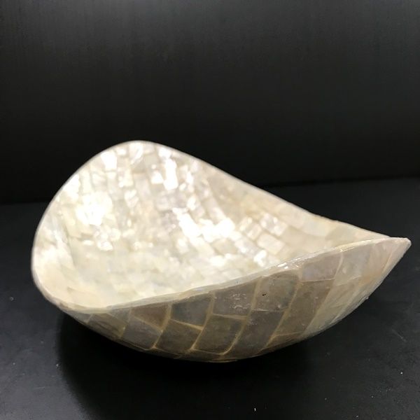 シェル 小物入れ