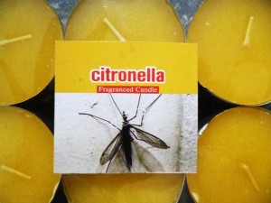アロマキャンドル/シトロネラ アロマキャンドル/シトロネラ