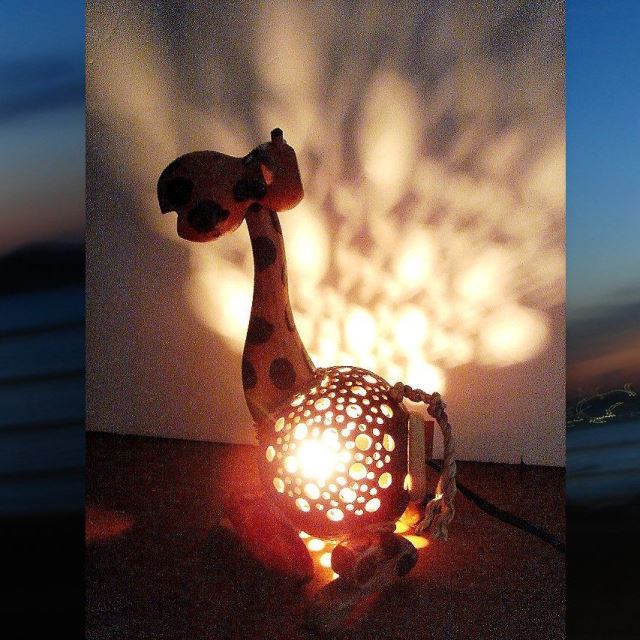 ココナッツ ランプ/キリン ココナッツ ランプ/キリン