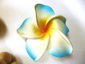 プルメリア　スポンジフラワー